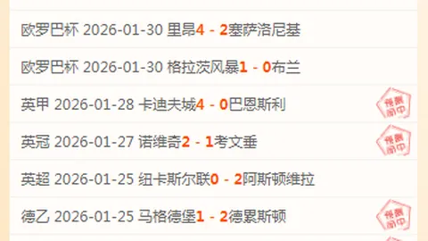 英足总发布：设立欧洲杯主办方，明斯出任独立董事。